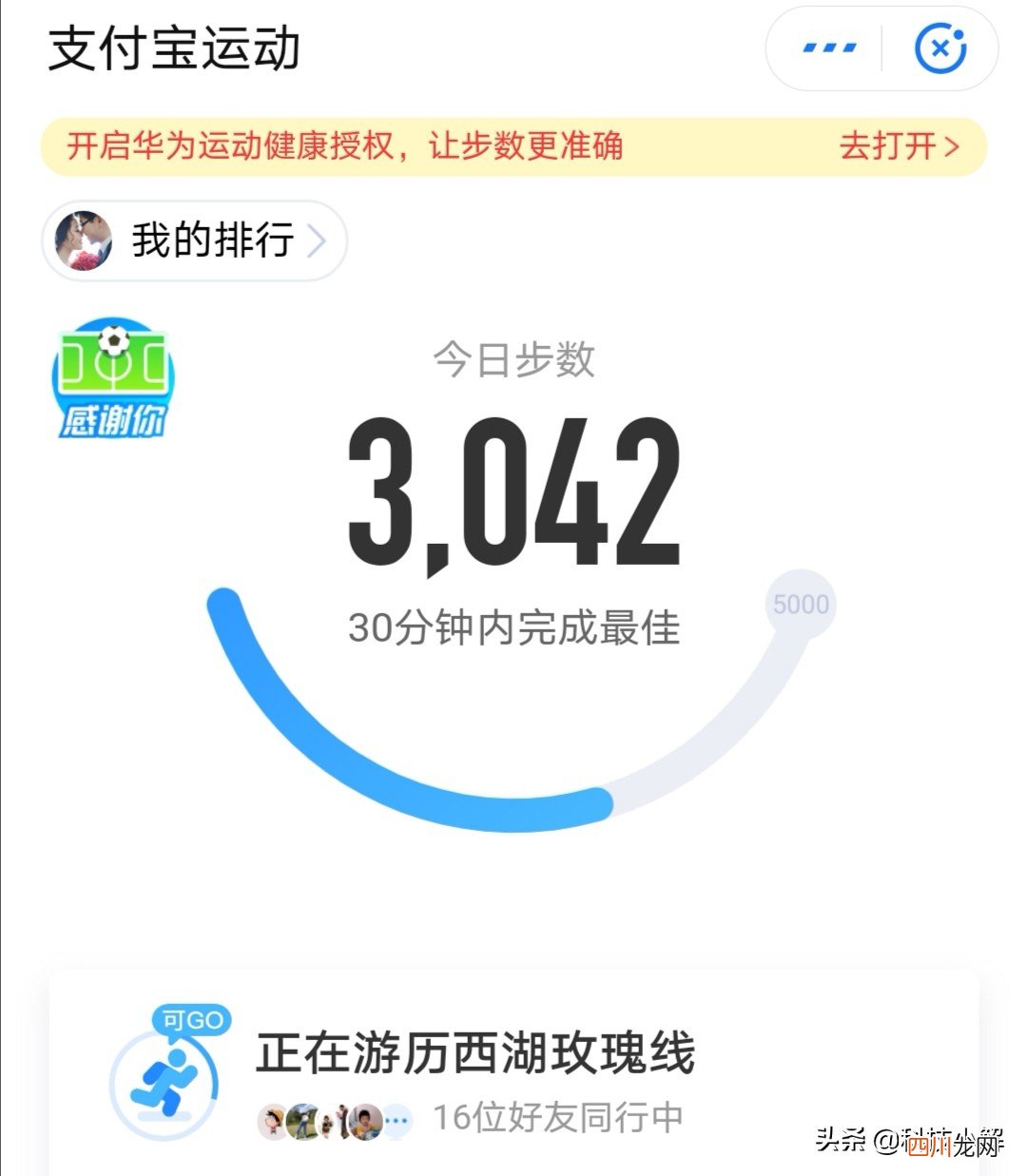 支付宝怎么统计步数 蚂蚁森林步数怎么打开