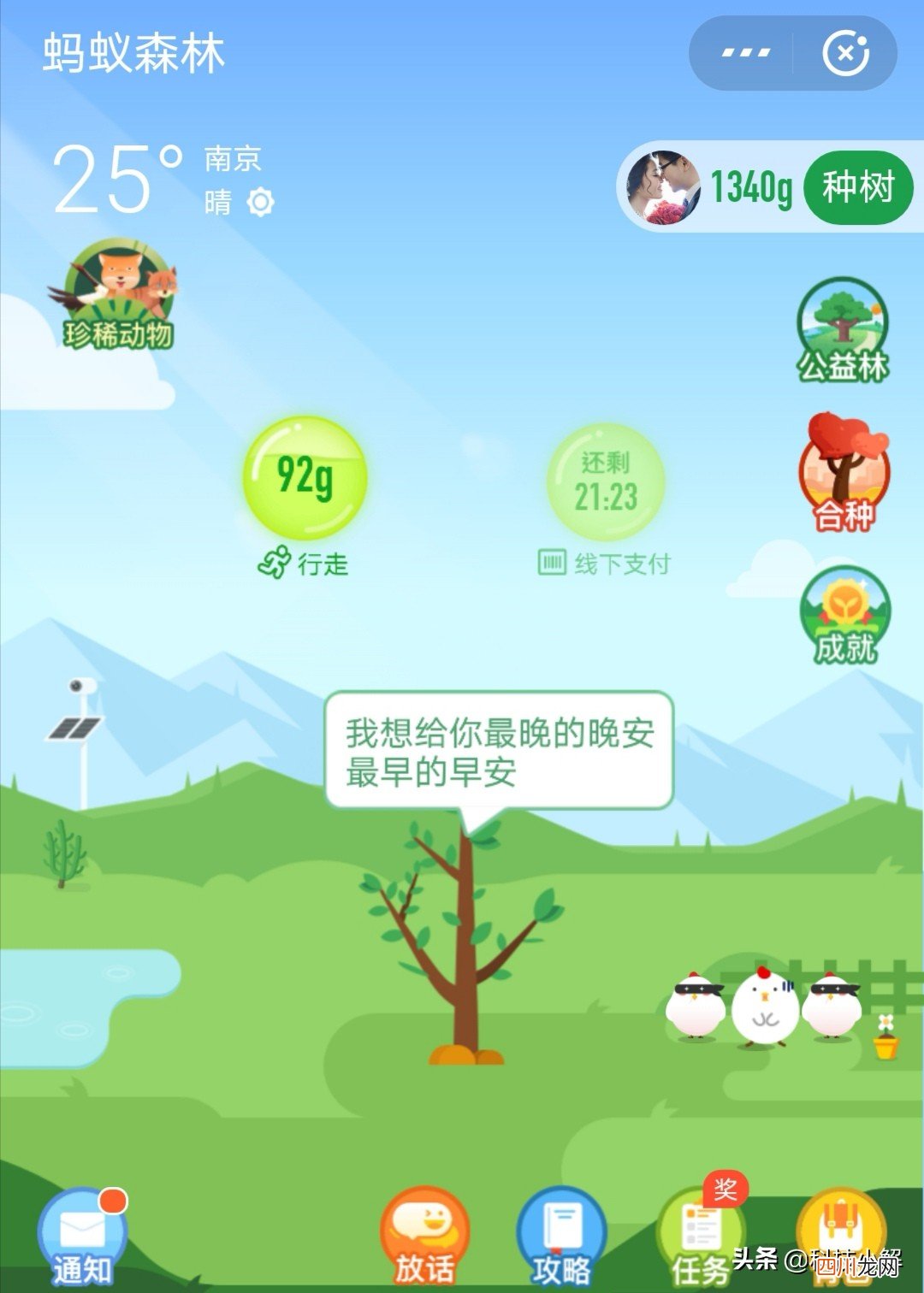 支付宝怎么统计步数 蚂蚁森林步数怎么打开