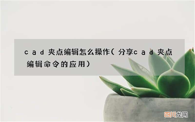 分享cad夹点编辑命令的应用 cad夹点编辑怎么操作