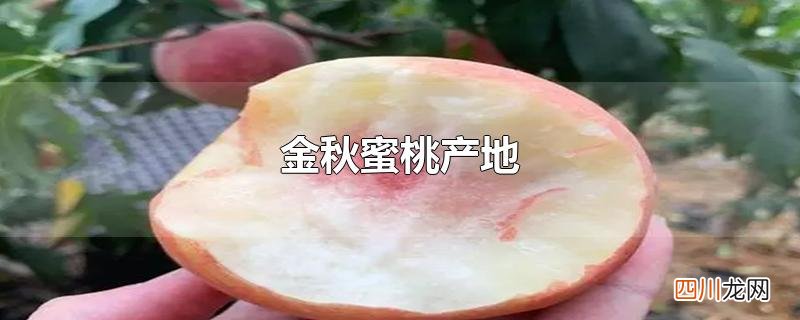 金秋蜜桃产地