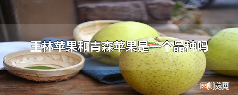 王林苹果和青森苹果是一个品种吗