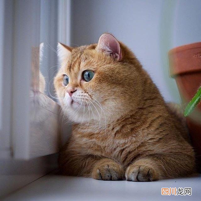 精辟现实，穿透人心 2020年火的的的句子