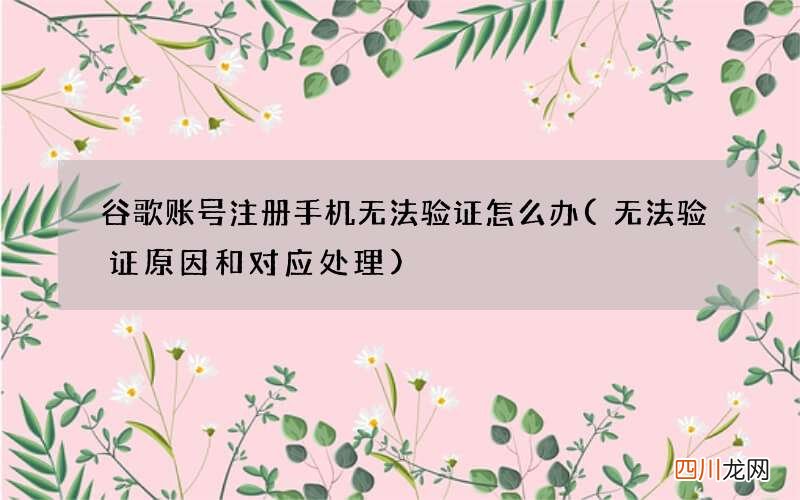 无法验证原因和对应处理 谷歌账号注册手机无法验证怎么办