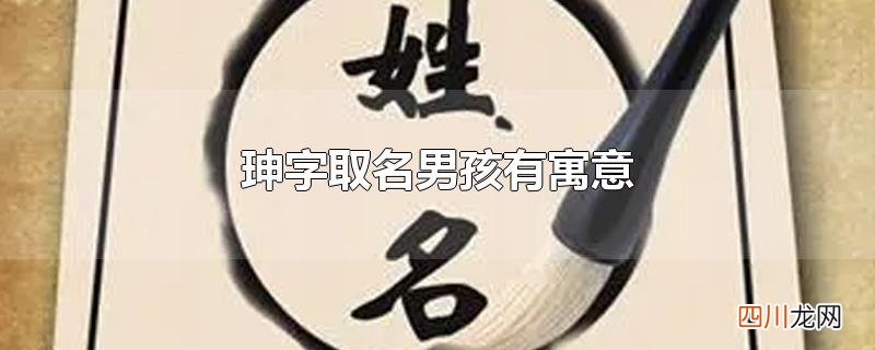 珅字取名男孩有寓意