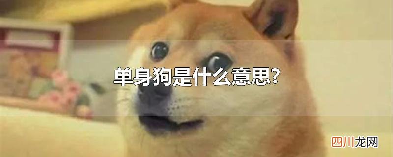 单身狗是什么意思?