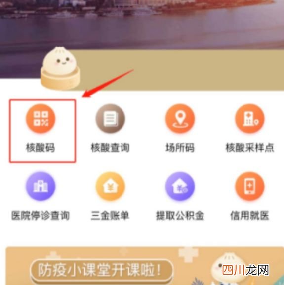 支付宝核酸检测码有效期多久