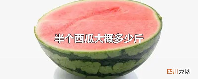 半个西瓜大概多少斤