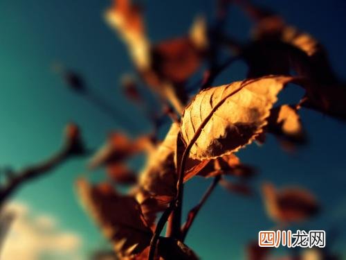 净水机陶瓷滤芯怎么清洗