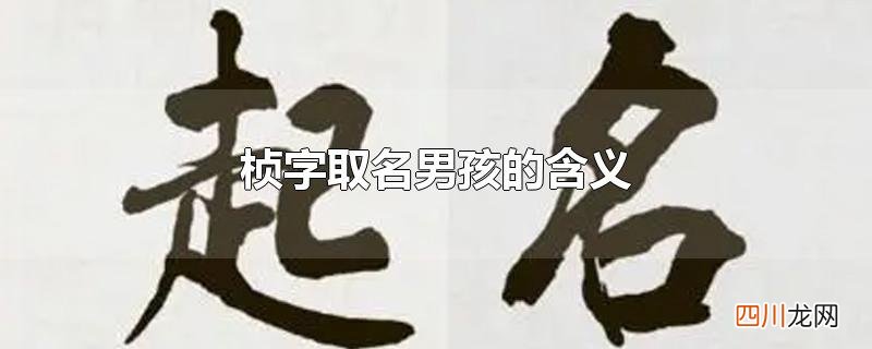 桢字取名男孩的含义
