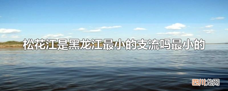 松花江是黑龙江最小的支流吗最小的