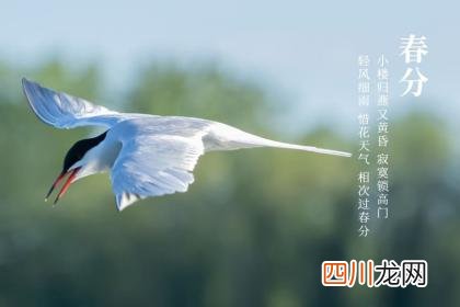 2022年春分时间几点几分几秒?属相按照春分还是春节?
