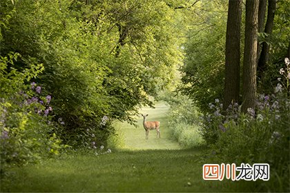 2022年农历三月初八是祭祀祭祖的吉利日子吗？