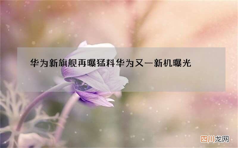 华为新旗舰再曝猛料 华为又一新机曝光