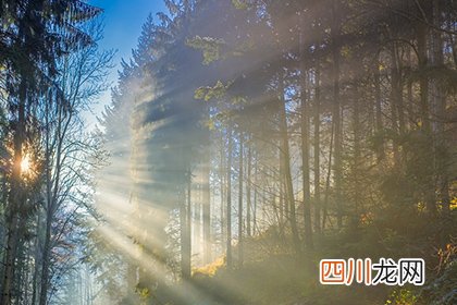 农历2022年三月初七日子吉利吗？可以不可以装修动土？