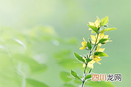 农历2022年三月初七日子吉利吗？可以不可以装修动土？