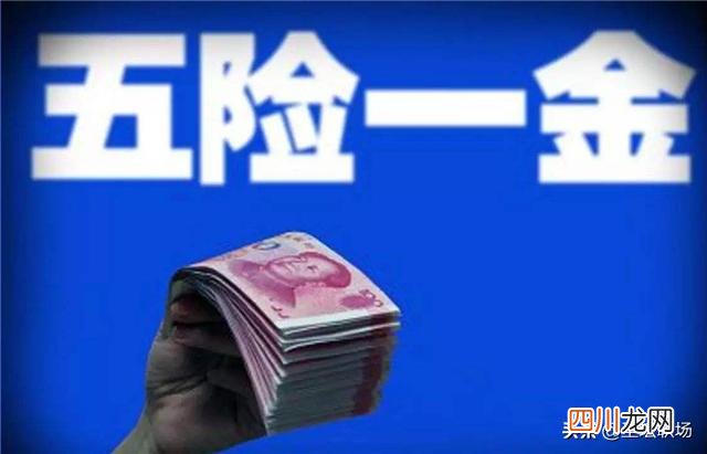 社保和五险一金一样吗？社保和五险一金的区别在哪里？很多人肯定还不知道