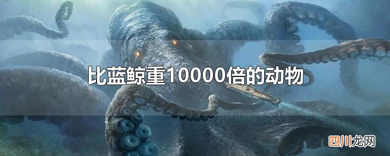 比蓝鲸重10000倍的动物