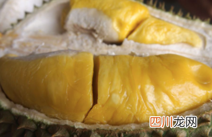 榴莲壳黑了是不是坏了