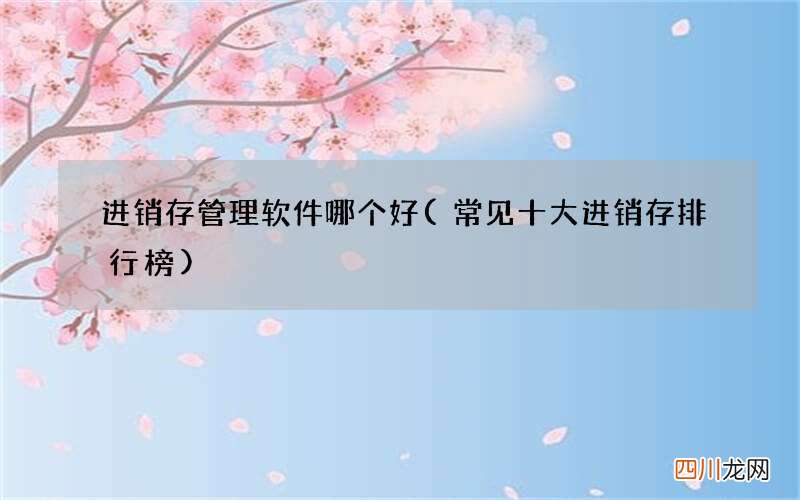 常见十大进销存排行榜 进销存管理软件哪个好