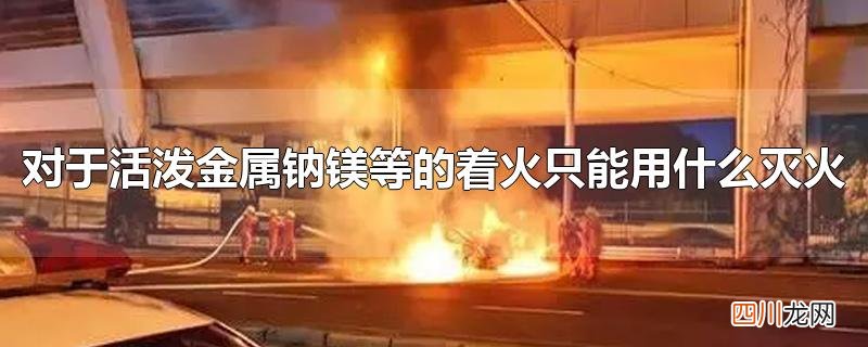 对于活泼金属钠镁等的着火只能用什么灭火