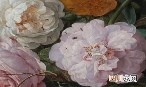 赞美春天的优美句子 描写春天的美好文案