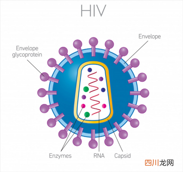 病毒到底从哪儿来的？和整个地球上的其他生命完全不一样