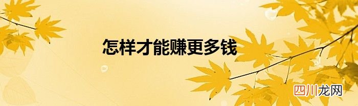 怎样才能赚更多钱