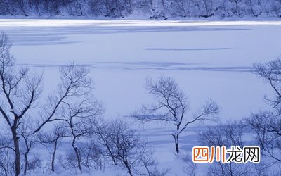 2021年农历十一月哪天日子好，黄道吉日怎么看？