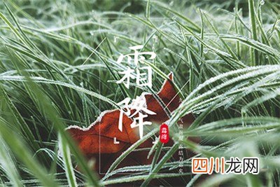2021霜降还要几天？霜降节气吃什么传统食物？
