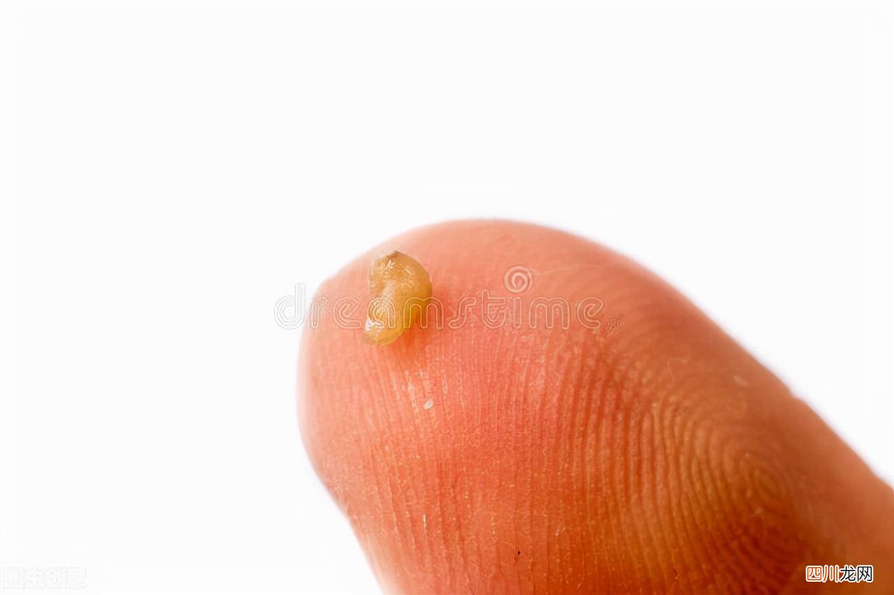 如何去黑头快速又有效？ 如何把脸上的黑头去掉