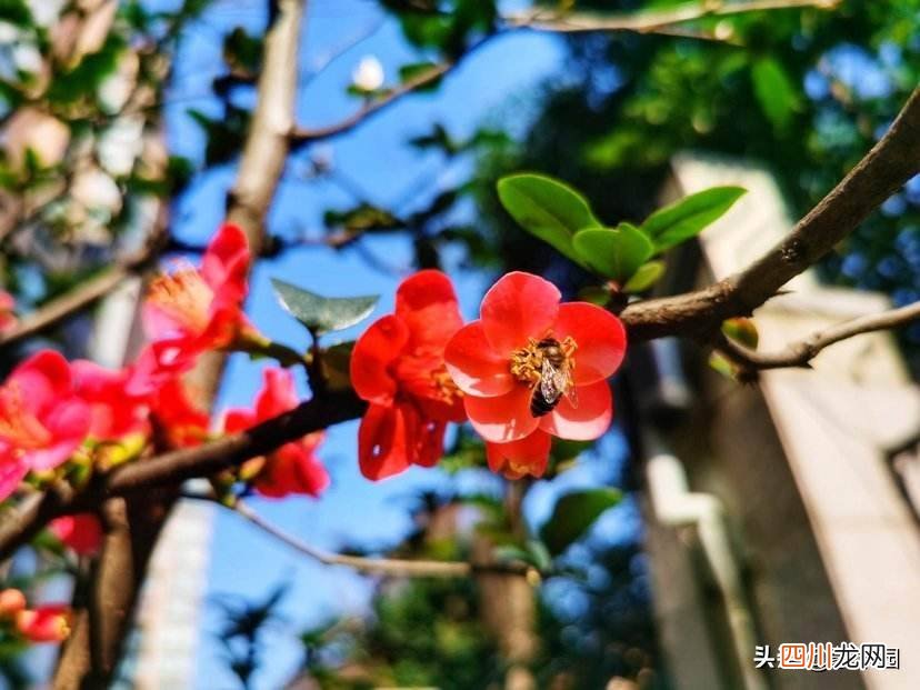 100个形容风景优美的成语 描写景物的成语