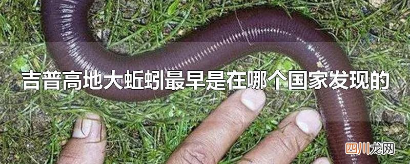 吉普高地大蚯蚓最早是在哪个国家发现的