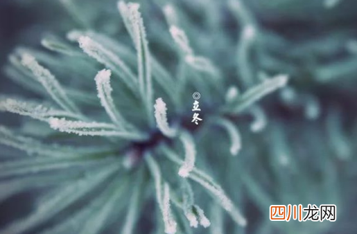 冬至前上坟还是冬至后上坟