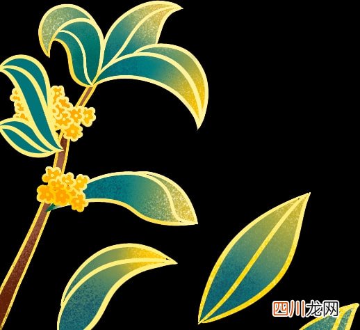 马蜂窝旅行、途牛旅游等在列  17款app偷窥隐私