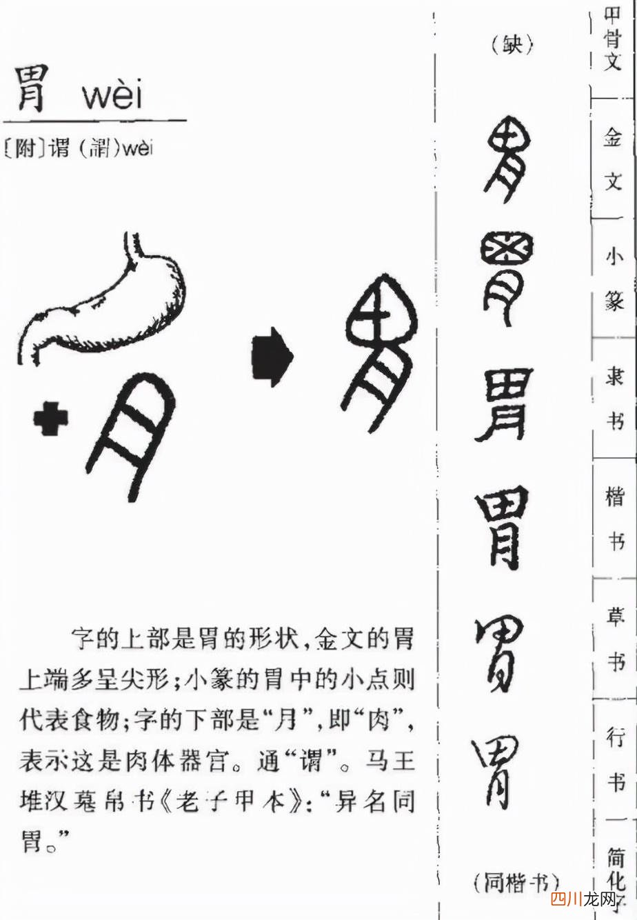 “胃”字的组词二字词胃的解释 胃组词