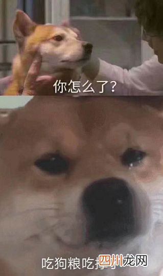 猝不及防！2022微信又调红包上限，最多可发…… 微信红包最多能发多少钱