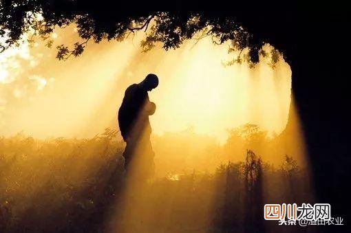 谦卑是一种什么生活态度 谦卑是什么意思