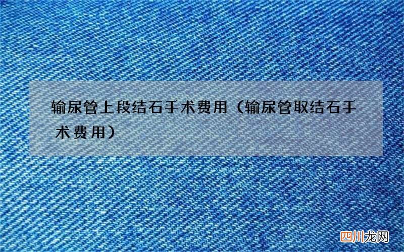 输尿管取结石手术费用 输尿管上段结石手术费用