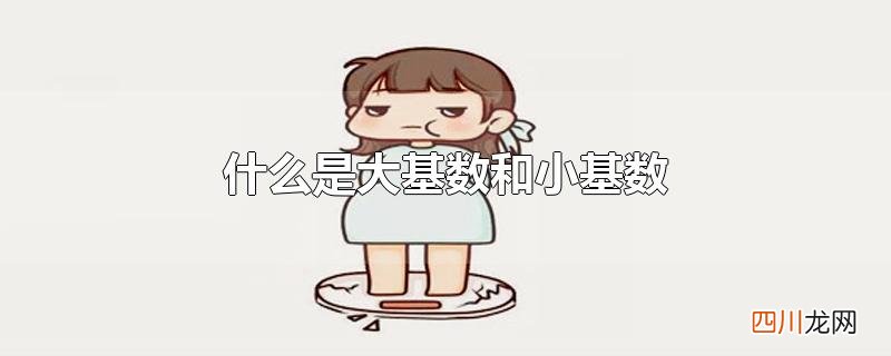 什么是大基数和小基数