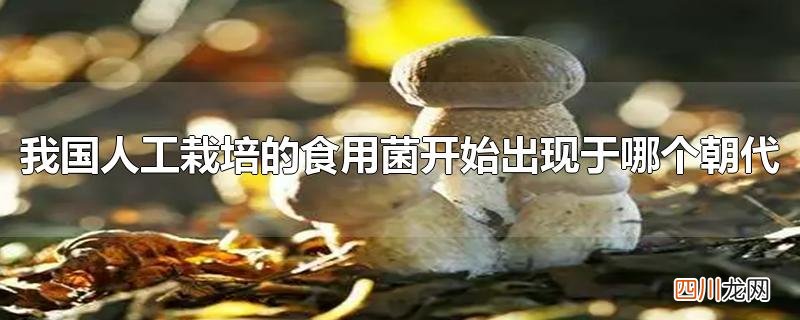 我国人工栽培的食用菌开始出现于哪个朝代