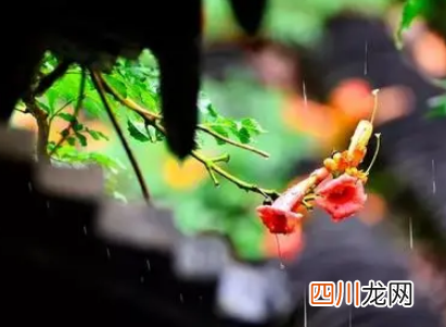 2022年北方有梅雨季节吗
