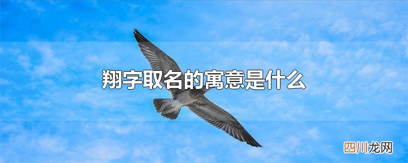 翔字取名的寓意是什么