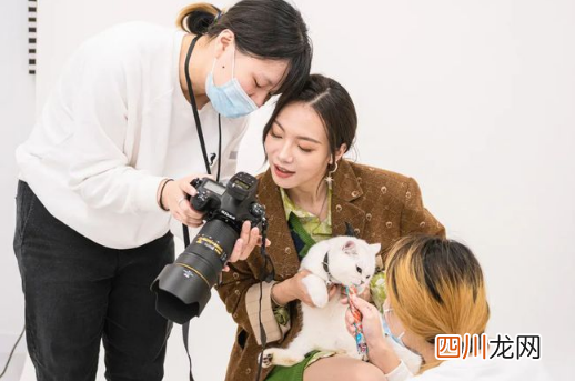 海马体可以拍宠物照片吗