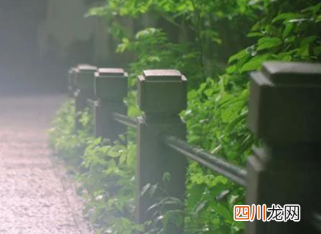上海一年四季都潮湿吗