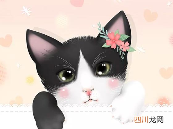 2019.11.30 书单：红楼女儿河奋斗史、人设超好古言、年代文里先婚后爱