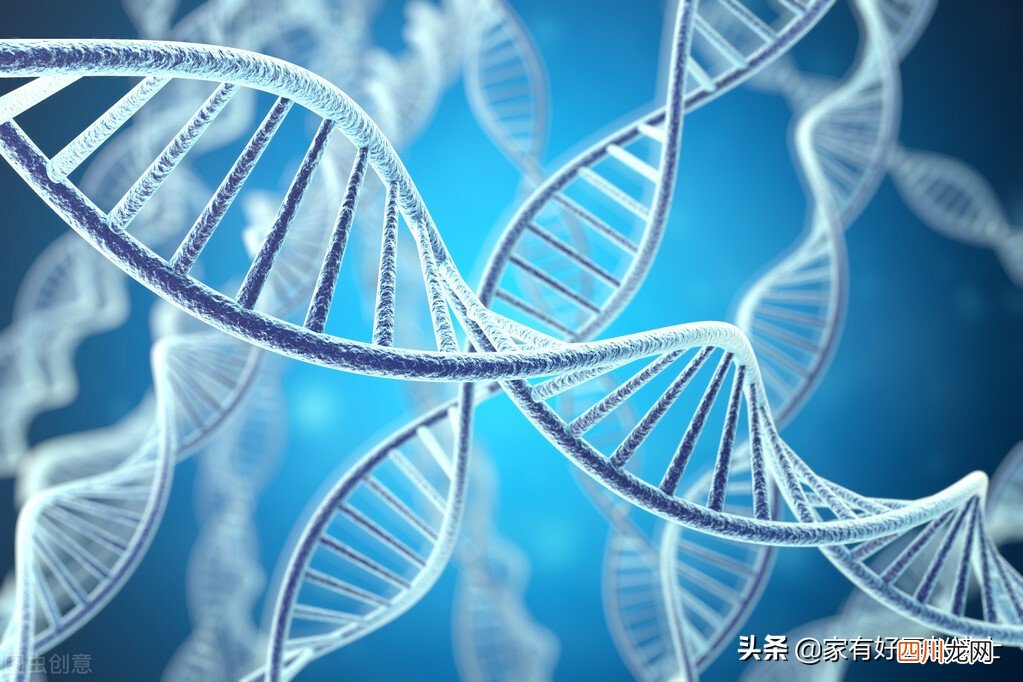 a 脂蛋白a升高，究竟提示何种风险？ 脂蛋白高是怎么回事