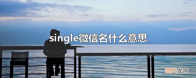 single微信名什么意思