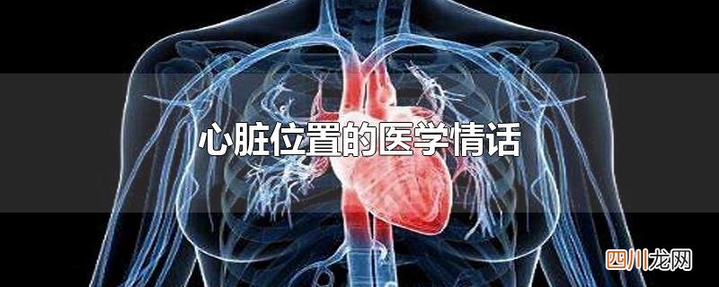 心脏位置的医学情话