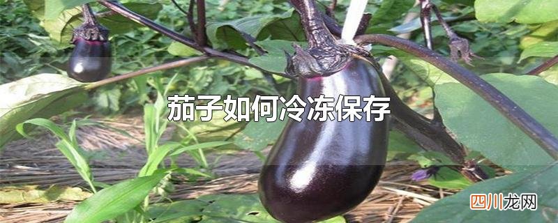 茄子如何冷冻保存