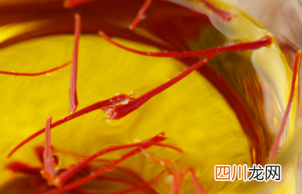 红花可以和山楂一起泡水喝吗